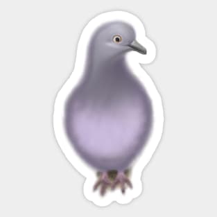 Cute Dove Drawing Sticker